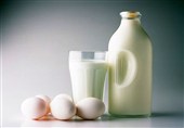 مصرف زرده تخممرغ خام با شیر ولرم باعث تقویت سیستم ایمنی بدن میشود؟