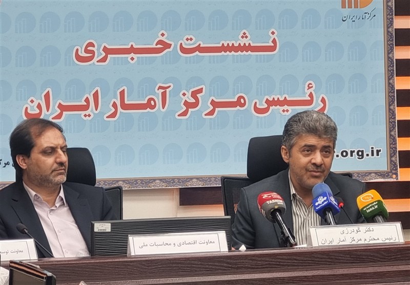 روایت رئیس مرکز آمار از ضعف تولیدات آماری در حوزه فرهنگ خانواده