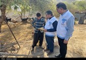 خدمات رایگان دامپزشکی در قالب اردوی جهادی در شهرستان دشتستان