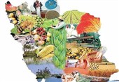 ایمنی غذایی در بحران آب؛ راهکارهای حفظ سلامت جامعه