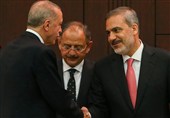 انتقاد تند دیپلمات سابق ترکیه از اردوغان و فیدان