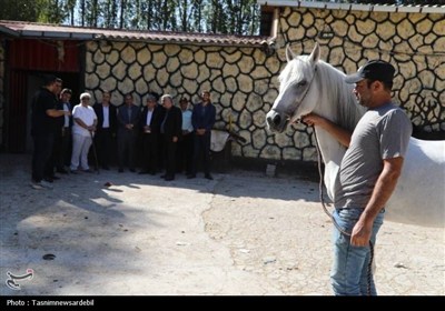 آغاز عملیات اجرایی 21 پروژه عمرانی و اقتصادی در شهرستان نیر- ...