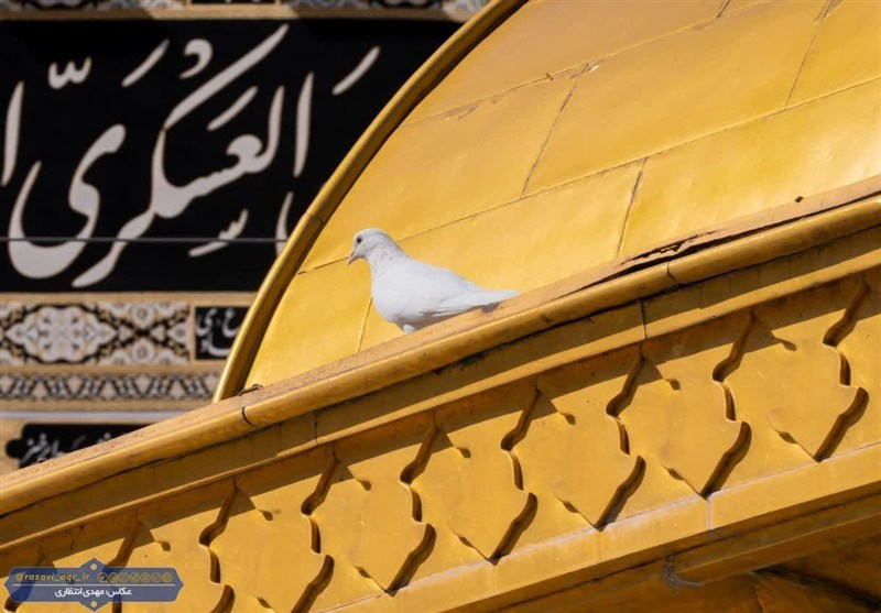 امام،حسن،عسكري،شهادت،حرم،رضوي،روز،يابن،الحسن،سوگ،مطهر،اشك،روزي