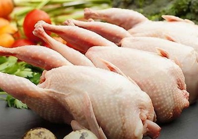 بلدرچين،بسته،تومان