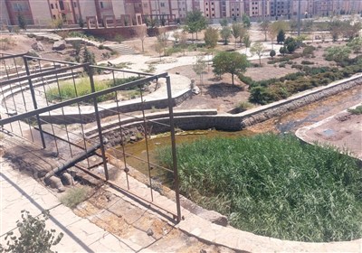 پرند،پارك،سبز،شهرداري،شهروندان،فضاي،تخريب،شهري،مشاهير،درختان ...