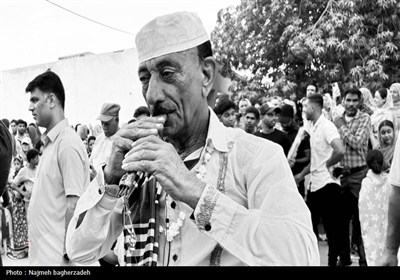 جشن شکرگزاری انبه و یاسمین گل میناب