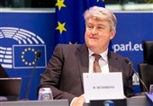 Iranian Spokesman Praises Irish MEP for Condemning Israeli Crimes