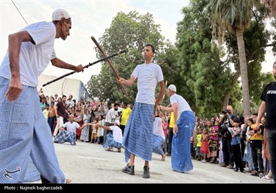 جشن شکرگزاری انبه و یاسمین گل میناب