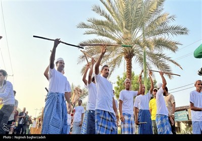 جشن شکرگزاری انبه و یاسمین گل میناب