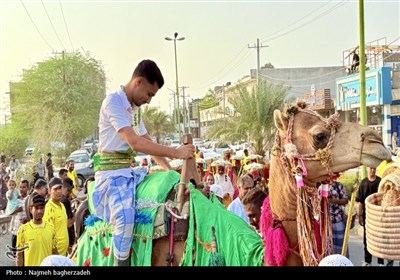 جشن شکرگزاری انبه و یاسمین گل میناب