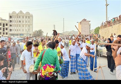 جشن شکرگزاری انبه و یاسمین گل میناب