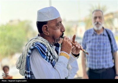 جشن شکرگزاری انبه و یاسمین گل میناب