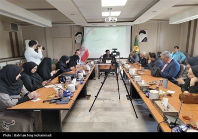 مدیرعامل شرکت توزیع نیروی برق استان همدان