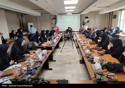 مدیرعامل شرکت توزیع نیروی برق استان همدان