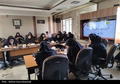 مدیرعامل شرکت توزیع نیروی برق استان همدان