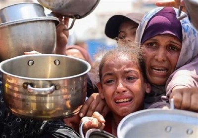لرستان،اسلامي،تبليغات،هماهنگي،ميدان،استان،شوراي