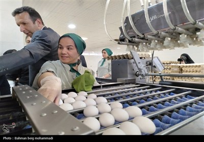 بازدید اصحاب رسانه از کشتارگاه‌ها و مراکز بسته‌بندی همدان