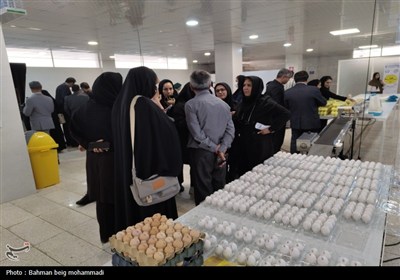 بازدید اصحاب رسانه از کشتارگاه‌ها و مراکز بسته‌بندی همدان