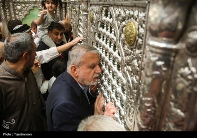 تشرف وزیر میراث فرهنگی به حرم حضرت معصومه(س)