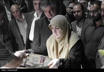 سفر سخنگوی دولت به استان مرکزی
