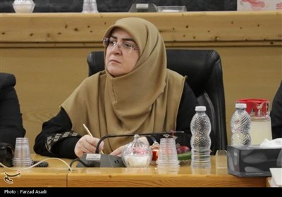 سفر سخنگوی دولت به استان مرکزی