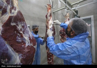 تور رسانه ای اداره کل دامپزشکی استان همدان