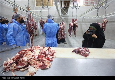 تور رسانه ای اداره کل دامپزشکی استان همدان