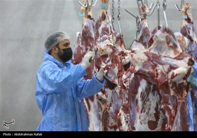 تور رسانه ای اداره کل دامپزشکی استان همدان