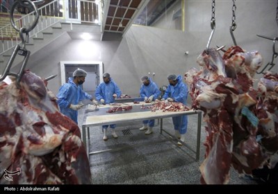 تور رسانه ای اداره کل دامپزشکی استان همدان