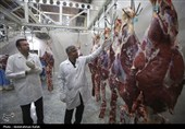 برنامه‌های هفته دامپزشکی در خراسان رضوی اعلام شد