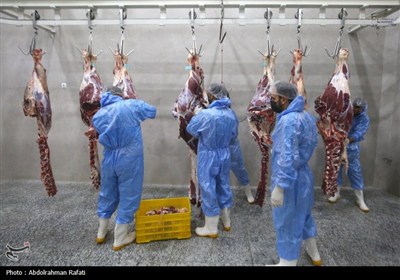 تور رسانه ای اداره کل دامپزشکی استان همدان