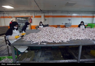 تور رسانه ای اداره کل دامپزشکی استان همدان