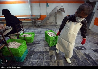 تور رسانه ای اداره کل دامپزشکی استان همدان