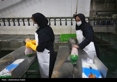 تور رسانه ای اداره کل دامپزشکی استان همدان