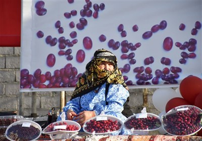 كليبر،شهرستان،جشنواره،سد،كشاورزي،اقتصادي،هوراند،رضواني،كشاور ...