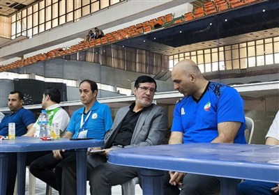 كميته،پارالمپيك،عملكرد،قهرماني