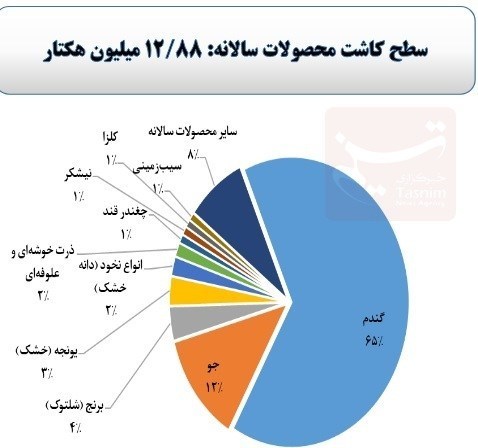 65 درصد اراضی کشاورزی کشور در تصرف یک محصول + نمودار 2