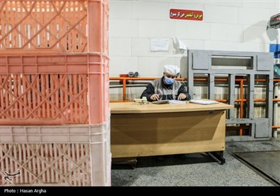 بازدید خبرنگاران از کشتارگاه طیور زنجان