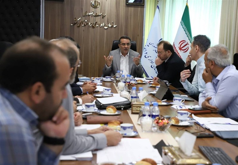 پرداخت مبتنی بر عملکرد؛ گام دولت برای عدالت در نظام اداری