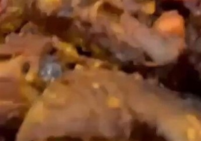 نظاميان،سرو،غذايي،تسنيم