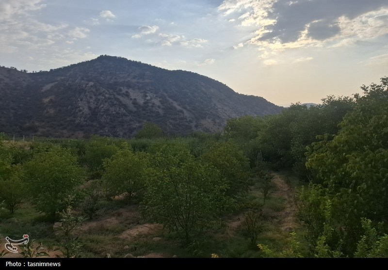 کشاورزی , 