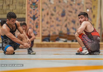 كشتي،فرنگي،ملي،تيم،انتخابي