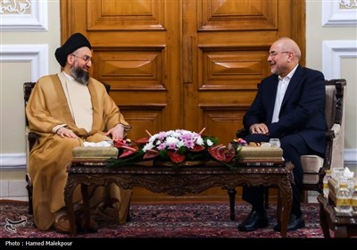 دیدار سیدعمار حکیم با رئیس مجلس