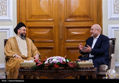 دیدار سیدعمار حکیم با رئیس مجلس