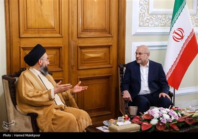 دیدار سیدعمار حکیم با رئیس مجلس