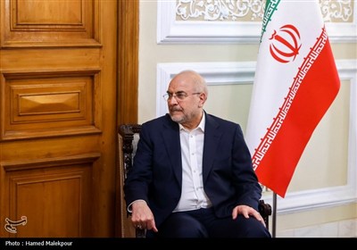 دیدار سیدعمار حکیم با رئیس مجلس