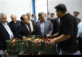 احداث کارخانه فرآورده‌های سیب‌زمینی و سردخانه‌های جدید برای مدیریت مازاد تولید در اردبیل