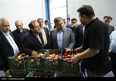 احداث کارخانه فرآورده‌های سیب‌زمینی و سردخانه‌های جدید برای مدیریت مازاد تولید در اردبیل