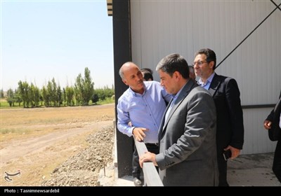 احداث کارخانه فرآورده‌های سیب‌زمینی و سردخانه‌های جدید برای مدیریت مازاد تولید در اردبیل