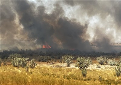 طبيعي،منابع،حفاظت،يگان،بويراحمد،منطقه،گزارش،عبدي،مراتع